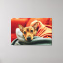 Search for doberman pinscher dog art Canine