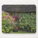 Search for thatch electronics Irish