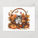 Search for cute pumpkin postcards Fall