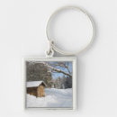 Search for northeastern keychains Frozen