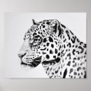 Recherche de léopard posters Leopard