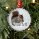 Search for squirrel ornaments Photograph