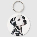 Search for dalmatian keychains Animals