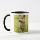 Recherche de ken tasses Chien