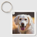 Search for dog owner keychains Create your own