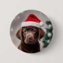 Recherche de labrador badges Drôle