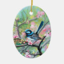 Search for wren ornaments Nature