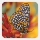 Search for zinnia flower stickers Yellow