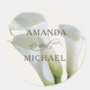 Recherche de calla Botanique