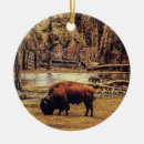 Recherche de bison ornements Faune