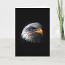 Search for air force cards Freedom