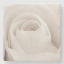 Search for affection coasters Celebration