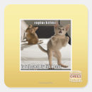 Search for raptor stickers I can has cheezburger