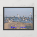 Search for ocean city maryland postcards Vacation
