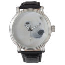 Recherche de ours polaire montres Arctique