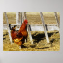 Search for rhode island posters Nature