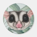 Search for glider Possum