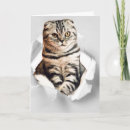 Search for funny graphics cards Cat