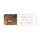 Search for red maple leaf return address labels Fall