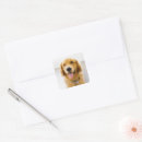Search for golden smile stickers Dog