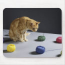 Recherche de chat gingembre tapis souris Félin