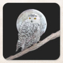 Search for owl coasters Portrait