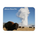 Search for yellowstone national park magnets Montana