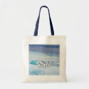 Search for antarctica bags Landscape