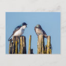 Recherche de gary cartes postales Nature