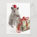 Search for hamster christmas cards Colour image