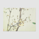 Recherche de cherry blossom tissue paper Fleurs de cerisiers