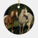 Search for appaloosa horse ornaments Bob langrish