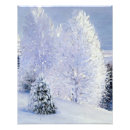 Recherche de sapin posters Élégant