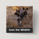 Search for wild dogs buttons Wildlife