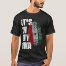 Search for somaliland Flag
