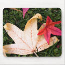 Search for color of fall electronics Leaves