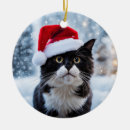 Recherche de chat noir et blanc ornements Drôle
