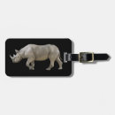 Search for rhinoceroses Wildlife