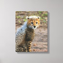 Search for safari canvas prints Travel