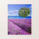 Recherche de provence puzzles Europe