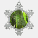 Search for arachnids ornaments Web