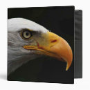 Search for eagle binders White