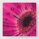 Search for gerberas art Purple
