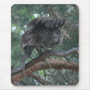 Recherche de dindes tapis souris Nature