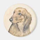 Recherche de poils magnets Rouge