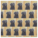 Search for labrador retriever fabric Canine