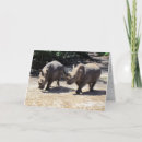 Search for rhinos cards Nature