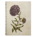 Search for asters notebooks Botanical
