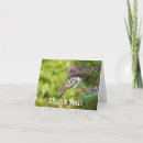 Recherche de papillon monarque vœux cartes Photographie