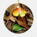 Recherche de minuscule ornements Nature